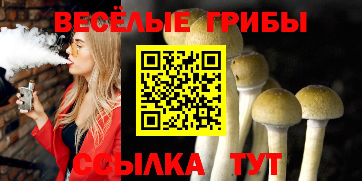 Псилоцибиновые грибы GOLDEN TEACHER Верхний Уфалей
