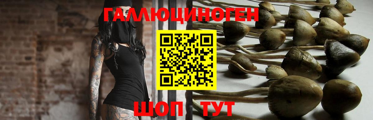 Верхний Уфалей  Псилоцибиновые грибы Cubensis  Вход с VPN  Псилоцибиновые грибы Magic Shrooms 